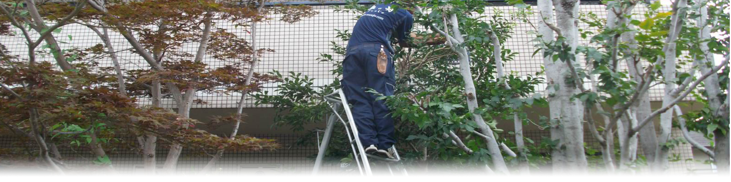 剪定・草刈・芝刈・伐採・毛虫駆除の事ならお任せ下さい。