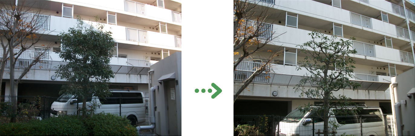 植栽管理の施工前と施工後